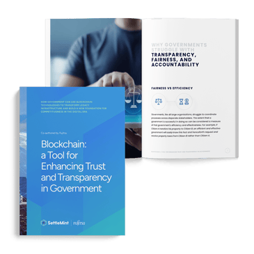 Government_minibook